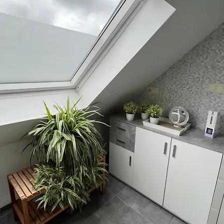 Appartement Cosy 1 Bedroom 900m From