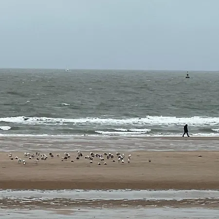 Cosy 1 Bedroom 900m From * Oostende